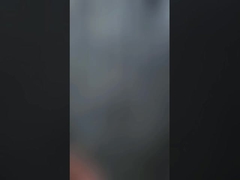 Заграждение для кормления лошадей