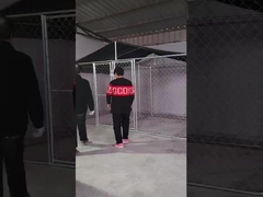 Стальная собачья питомница