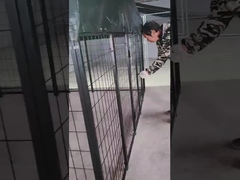 6 футов высотой сварный стальной собачий питомник с порошкообразным покрытием