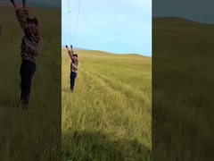 Горячее погружение оцинкованного ограждения скота панель 8 футов высоты фиксированный узел оленей проволочной сетки ограждения