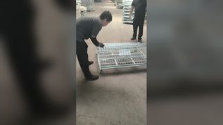 Сверхмощные складные клетки для хранения проволочной сетки для складов